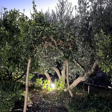 Gaia דירה *